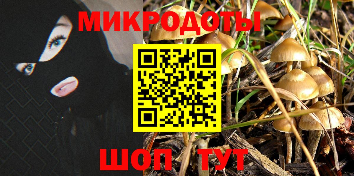Галлюциногенные грибы прущие грибы Елизово