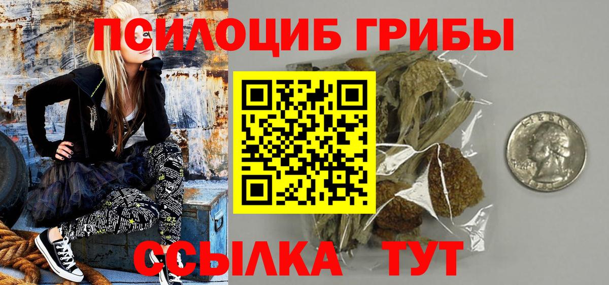 Псилоцибиновые грибы Cubensis  Вход с VPN  Елизово 